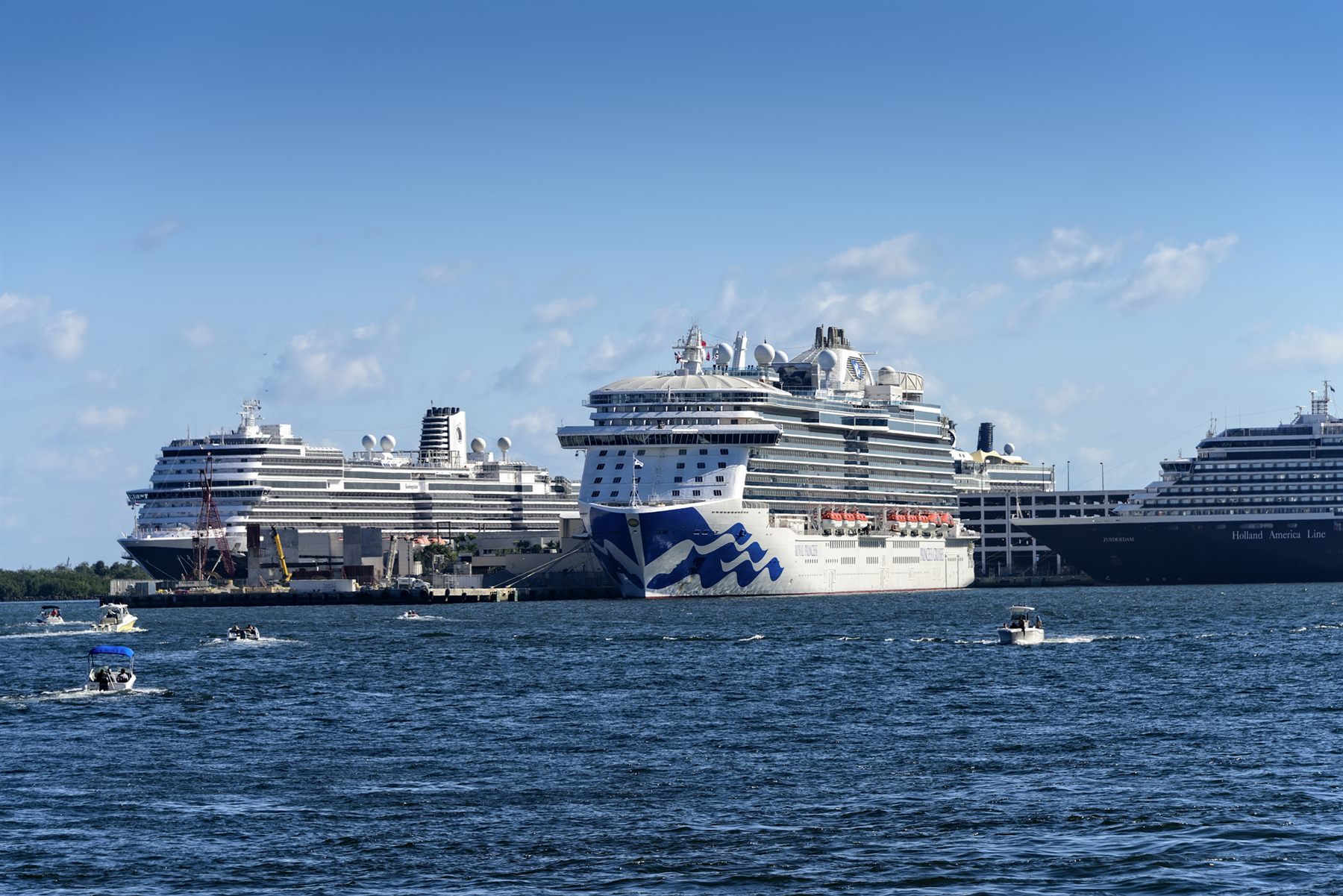 A Princess ship and other cruise ships docked side by side at a busy port